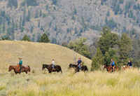 Horseback Trail Ride with Wine Tasting for Two